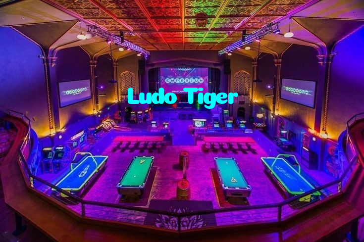 Ludo Tiger casino presented on mobile device in Pakistan with slots and live games