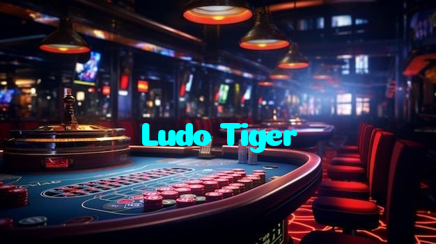 making first deposit on Ludo Tiger website using local payment methods in Pakistan