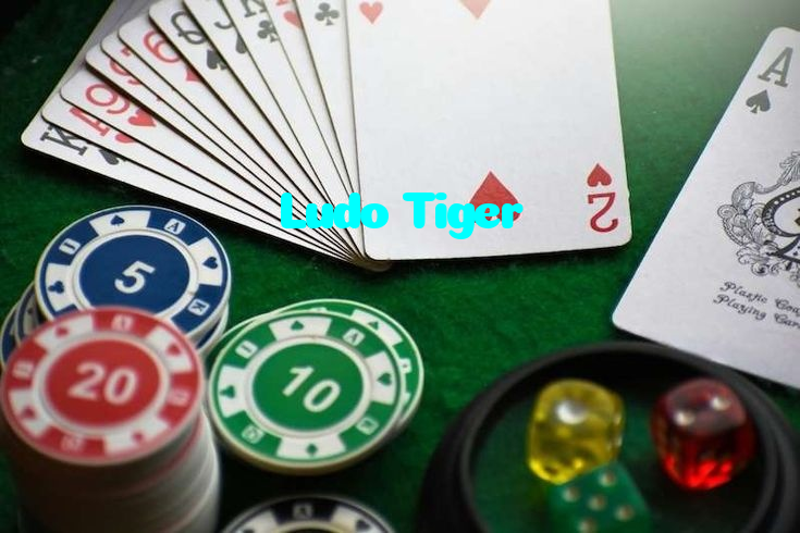 available types of Ludo Tiger bet including pre-match live express and system bets